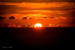 sunset1-1-of-1